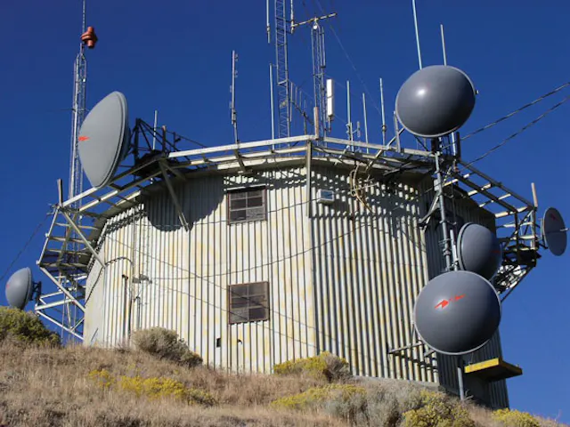 Software Reveals Cosite Challenges | Microwaves & RF