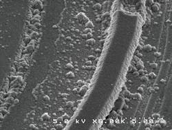 Beta Mwrf Com Sites Mwrf com Files Liu Fig12 Beta Mwrf Com Sites Mwrf com Files Liu Fig12