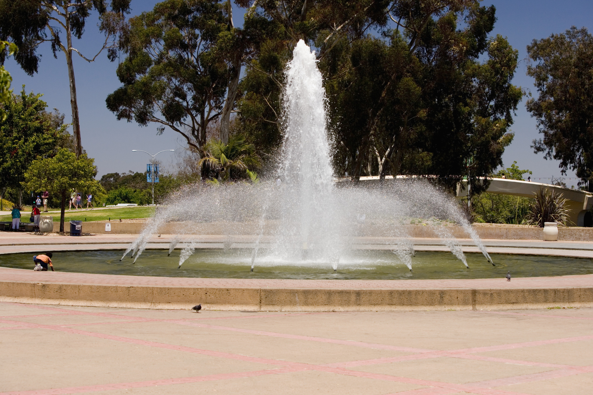 Image courtesy of Thinkstock