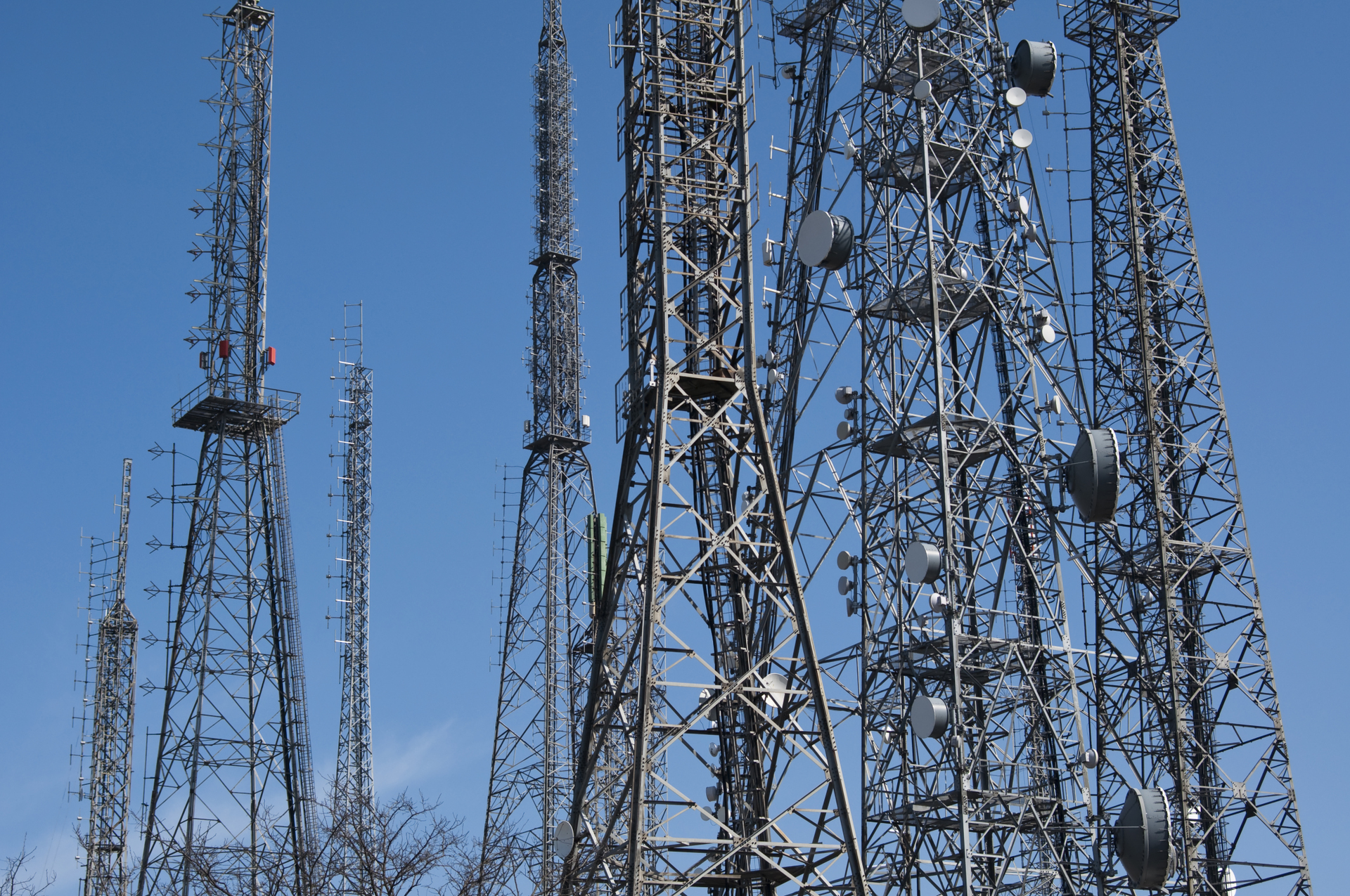 Image courtesy of Thinkstock