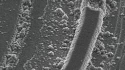 liupromo.jpg liupromo.jpg