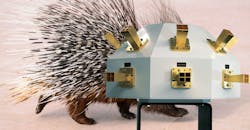 NYU Wireless Lead NYU Wireless Lead