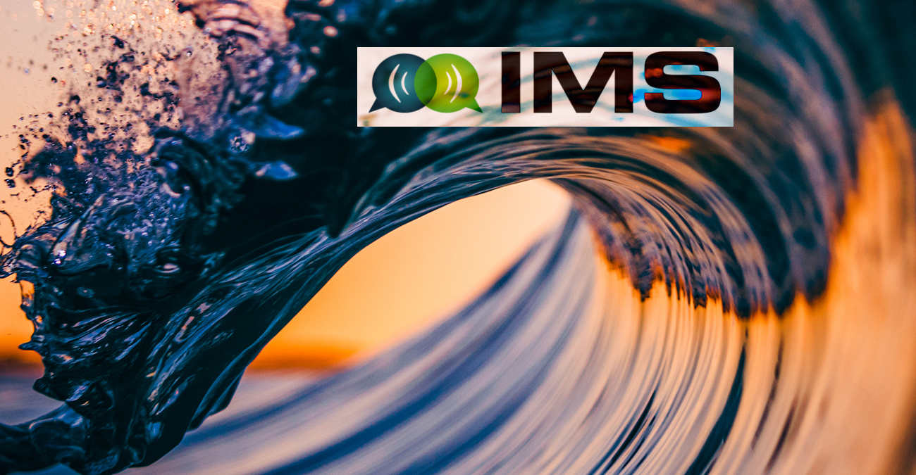 IMS logo