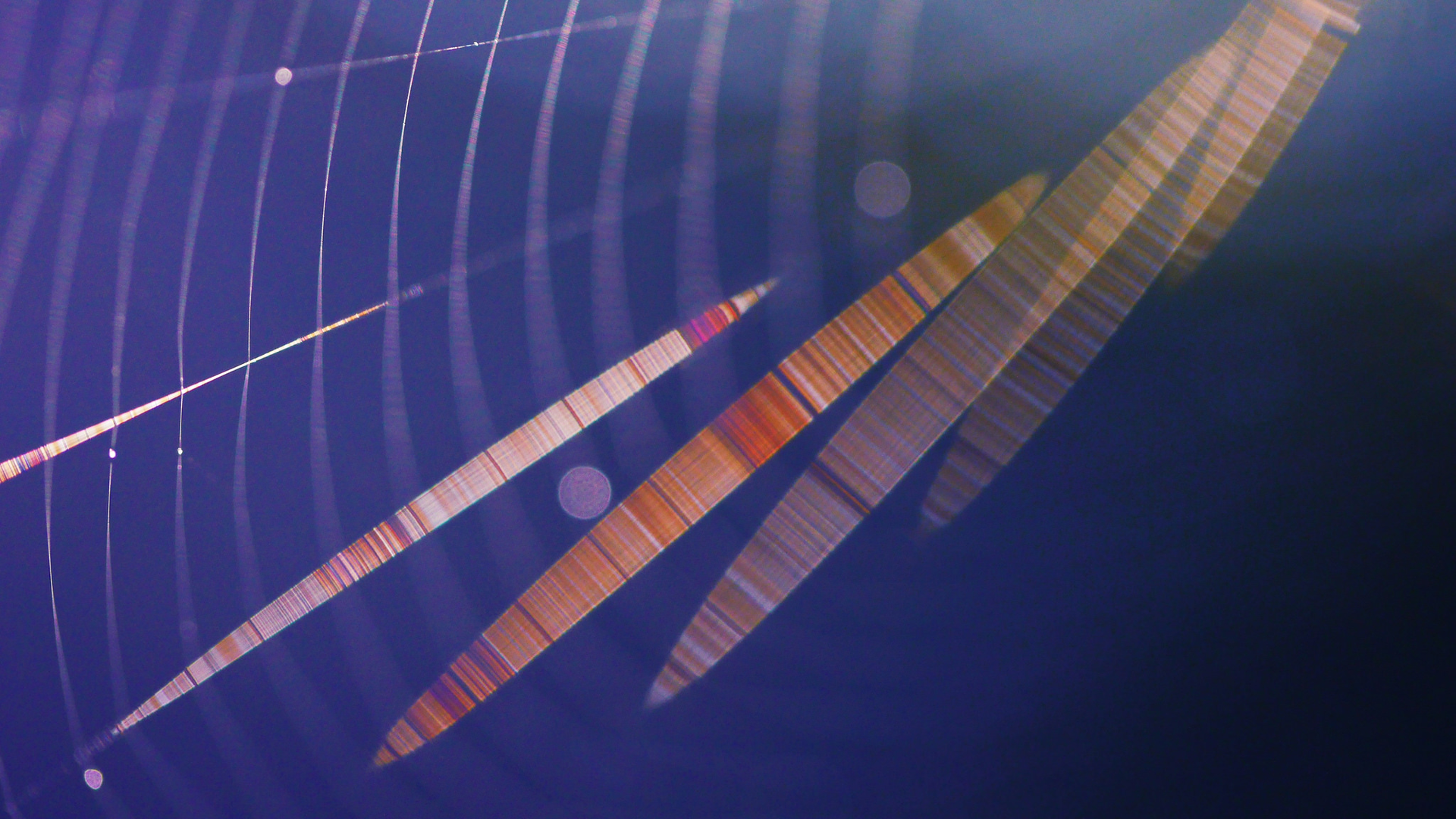 Tuned_Frequency_Abstract