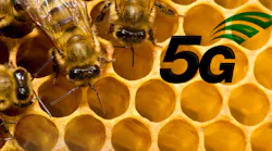 5G bees
