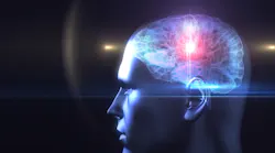 Brain