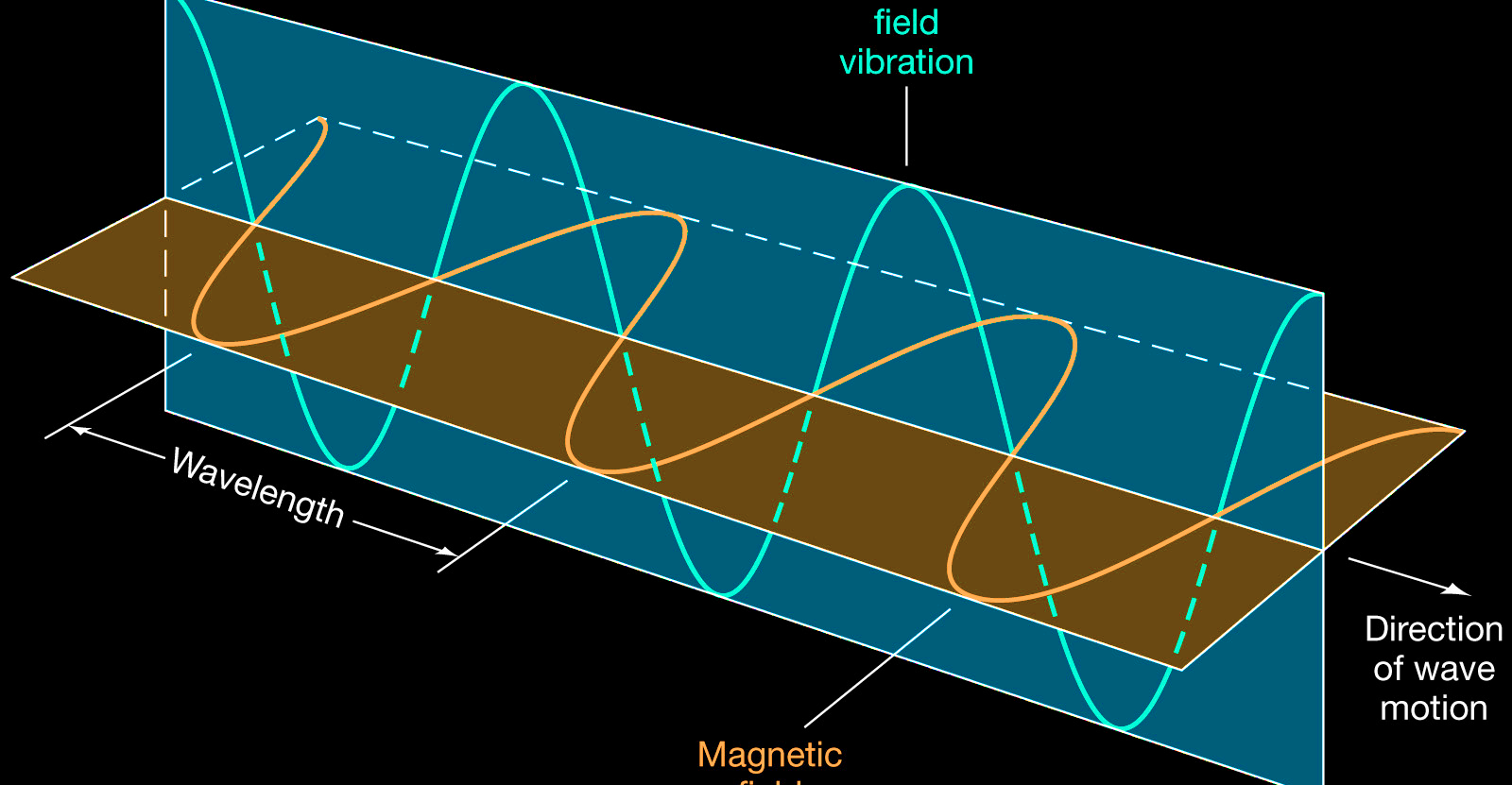 Pursuing the Paths of EM Propagation
