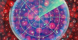 Counting Cranberries with Radar Signals Counting Cranberries with Radar Signals