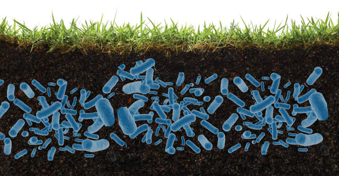 soil-bactieraPROMO.jpg