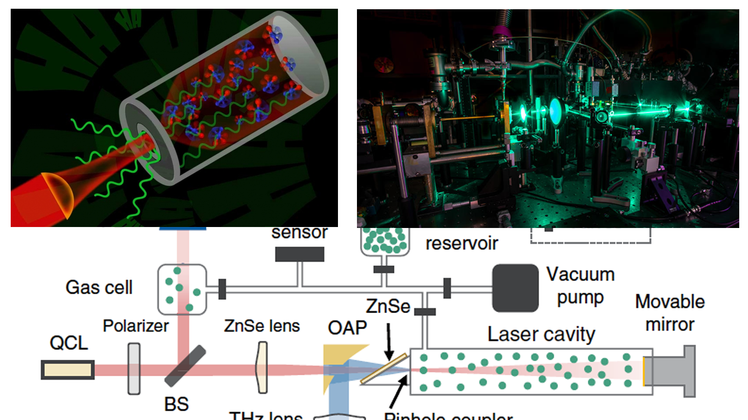 Xray 1536 Promo 5e3dbde4040b5