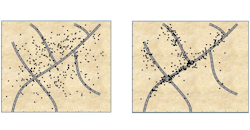 Denewsmay13 1 Figure 5ebb09ab88486 Denewsmay13 1 Figure 5ebb09ab88486