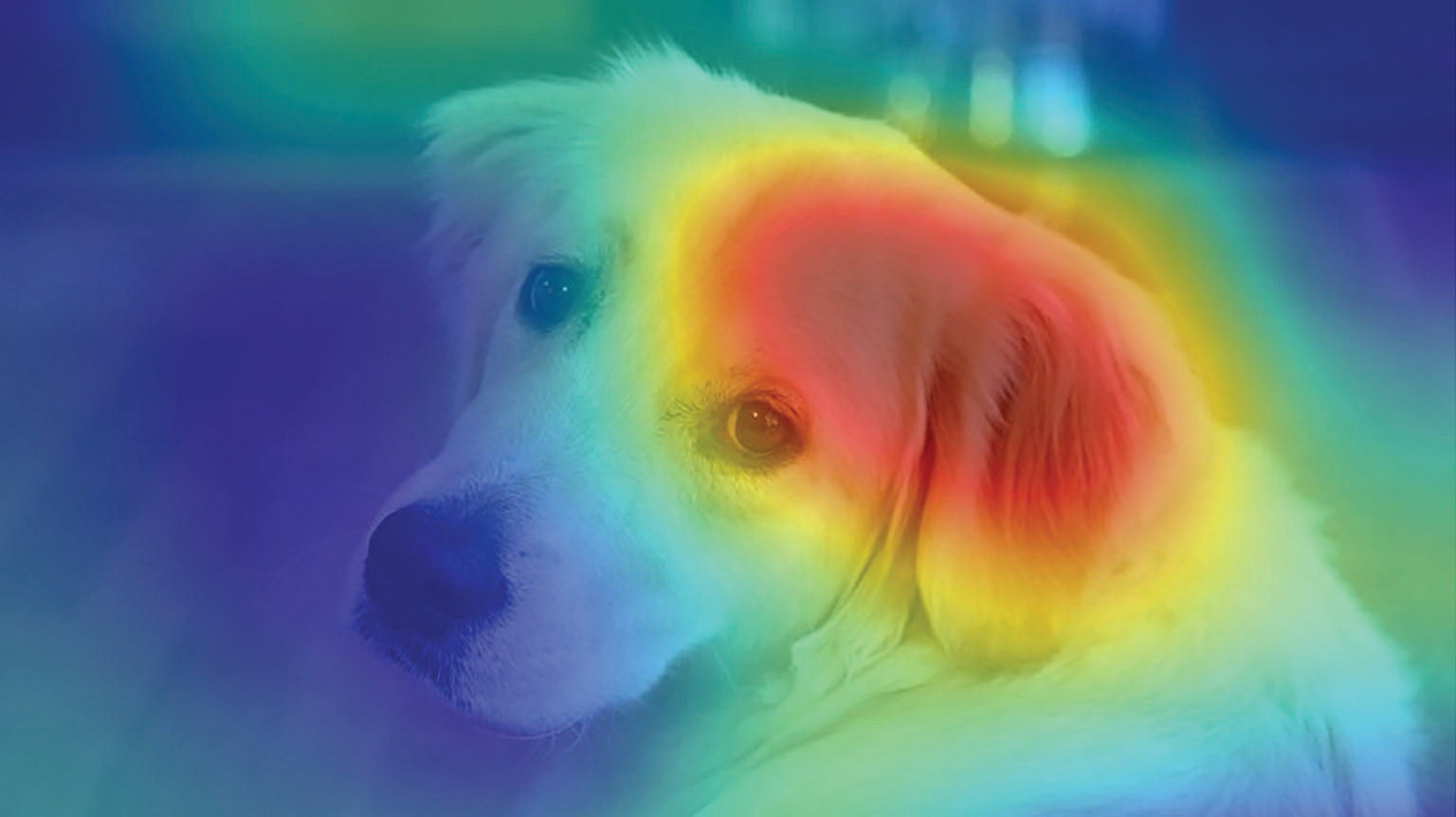 0720 Mw Math Works Matlab 2020a Promo