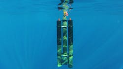 Denewsaug12 1 Promo 5f43de406ff68 Denewsaug12 1 Promo 5f43de406ff68