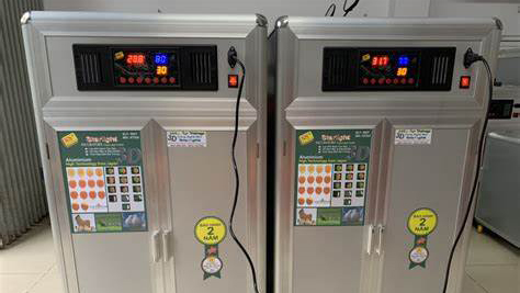 Demay10 1 Promo 609ab3038ad0a