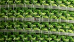 Dejune23 2 Promo 60da357f24418 Dejune23 2 Promo 60da357f24418