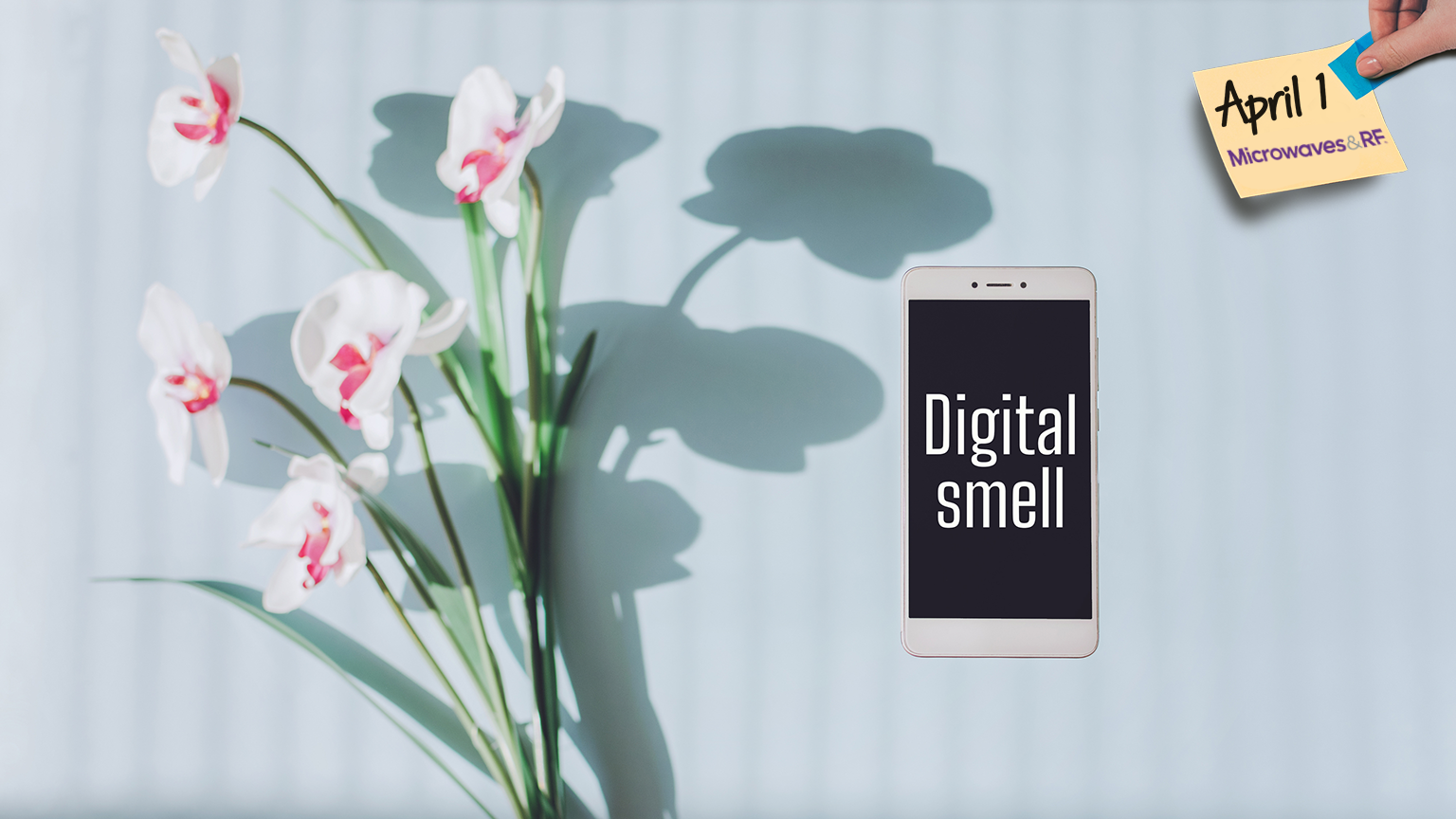 Tele Odor Promo Mw 623c9925984c8