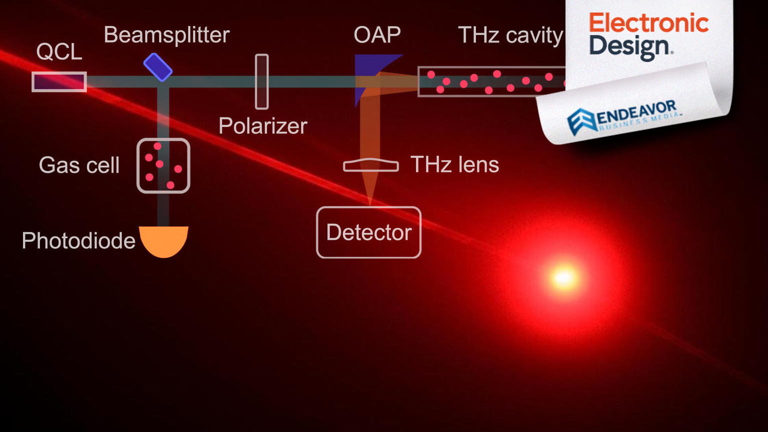 Schweber T Hz Promo 6279635476d99