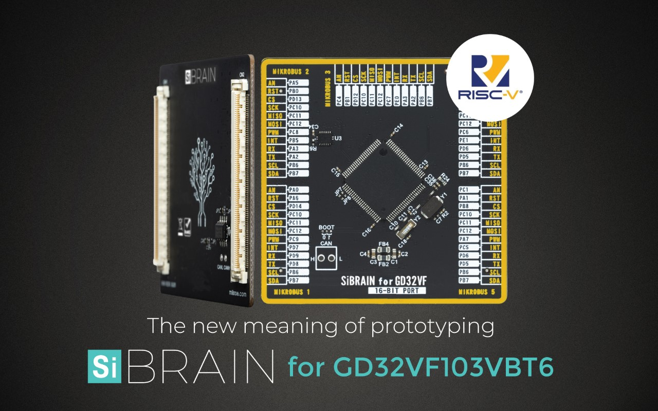 Thumbnail Risc V Sibrain