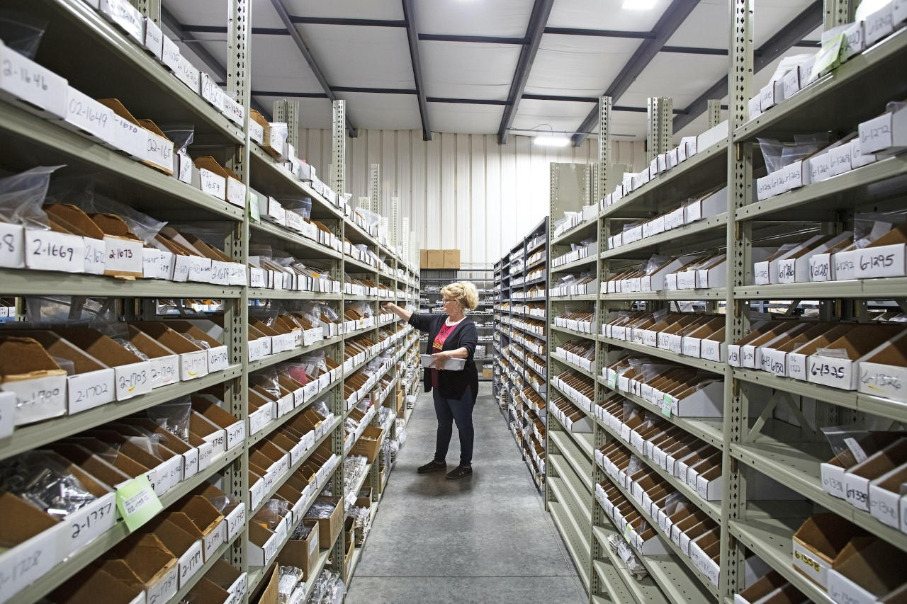 Thumbnail 2 P1 A0638