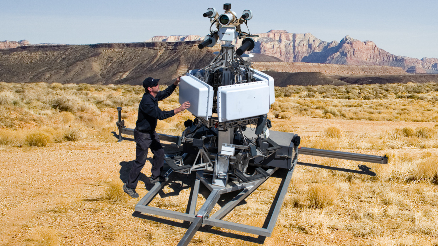 Black Sage | Rockworth