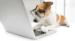 Promo Flydragonfly Dreamstime Xxl 43558890 642ebe42f3463 Promo Flydragonfly Dreamstime Xxl 43558890 642ebe42f3463