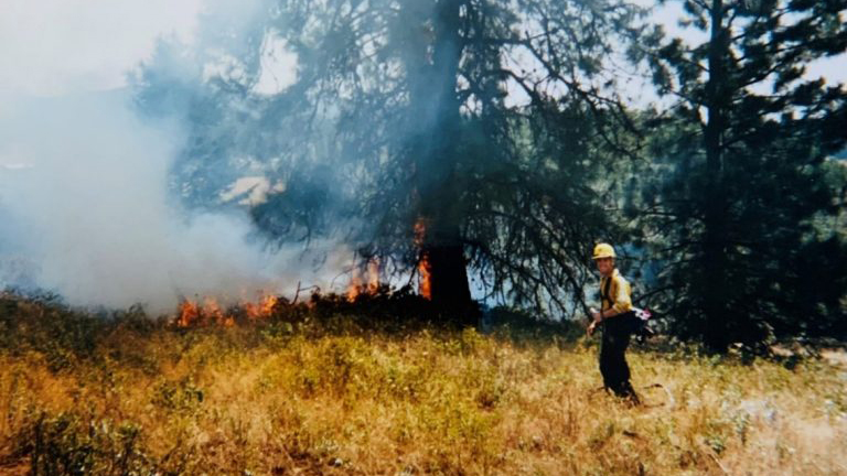 Dejuly13 3 Promo 64c7c81eeb060