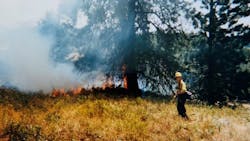 Dejuly13 3 Promo 64c7c81eeb060 Dejuly13 3 Promo 64c7c81eeb060