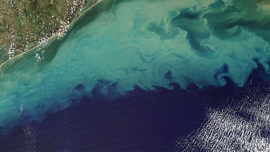 Deaug16 3 Promo 6509ceac911ee