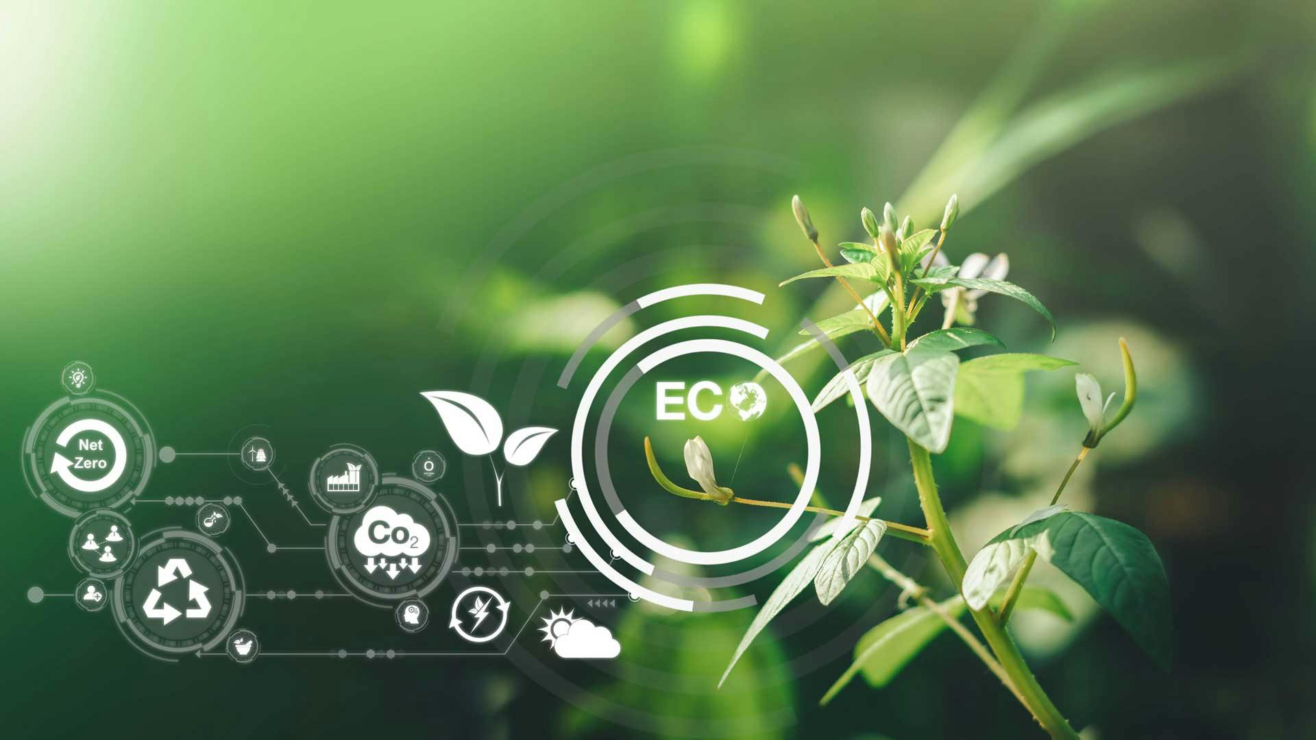 65ce7eac00da17001ee34821 Promoimage