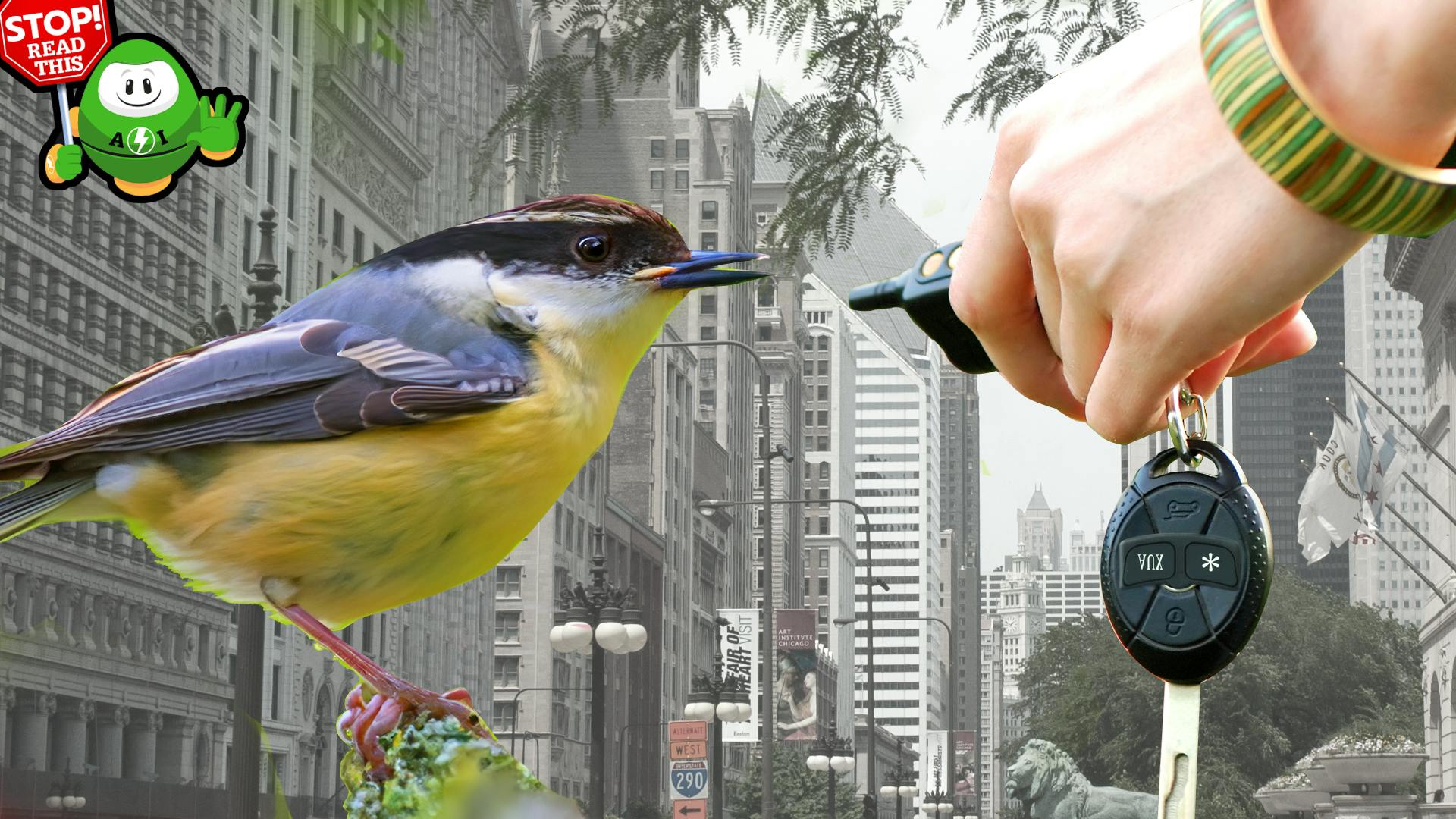 Urban Lifestyle Initiative Is For The Birds | Microwaves & RF