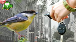 dreamtime_susan_sheldon dreamtime_susan_sheldon