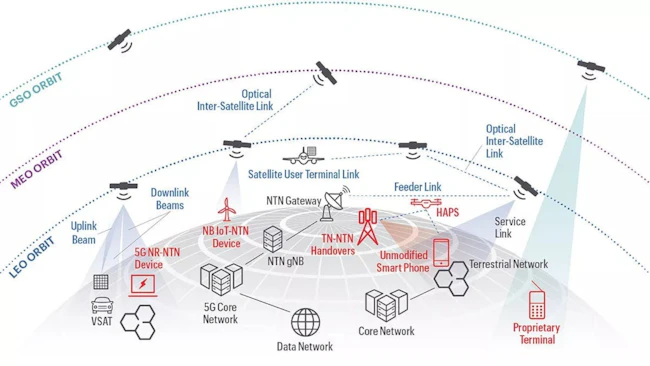 ntnecosystemgraphicv2_web