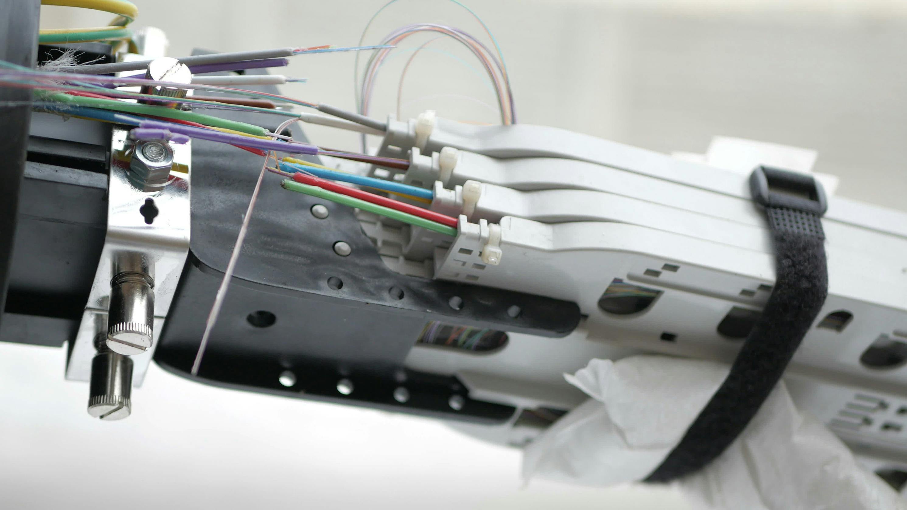 66f5bc55e17ae23a8ebc803e Dreamstime Tkachenko Pavel 121441608