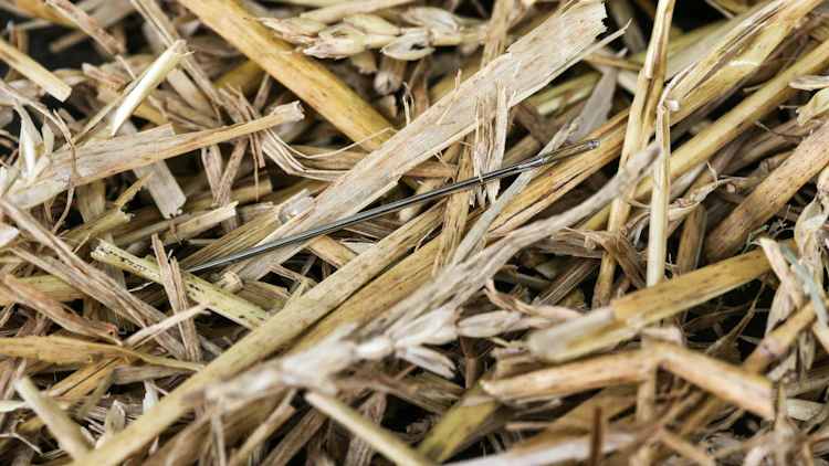 673f50646874995ac4be8205 Dreamstime M 48566050