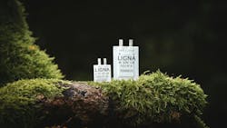 The new S-Power 2R supercapacitor is made entirely from sustainable, non-toxic, and easily recyclable materials. The new S-Power 2R supercapacitor is made entirely from sustainable, non-toxic, and easily recyclable materials.