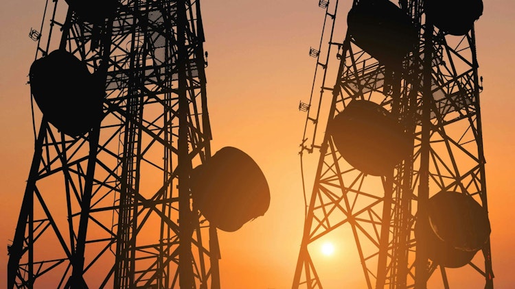 6908fcc5089701724aa53bad Dreamstime Sasinparaksa 73769474