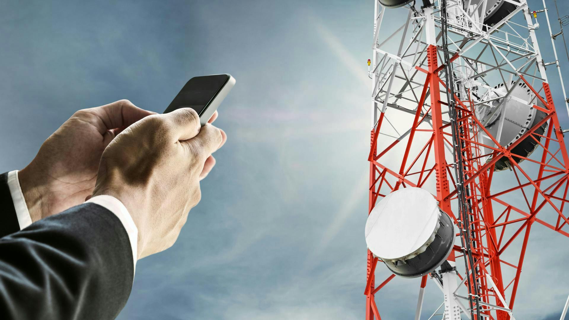 69583bebcc8def9c62706248 6942bdda6046587e85814c6dcellular Dreamstime L 7340