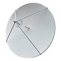 SAY-3735135302-22-S1-DP-WR